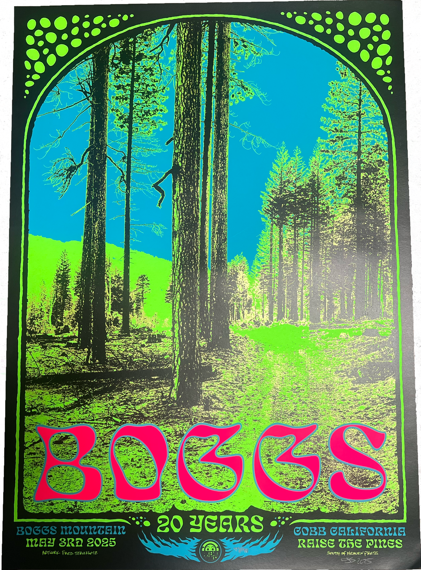 Boggs Poster