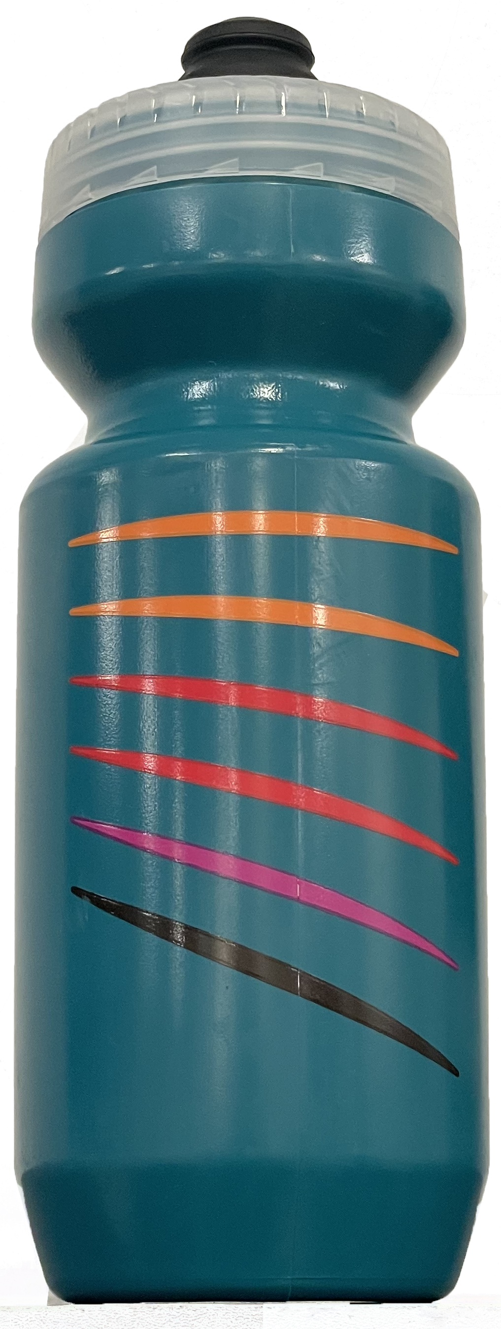 Fish Rock Water Bottle